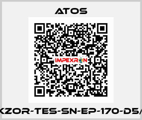 DKZOR-TES-SN-EP-170-D5/FI Atos