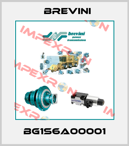 BG1S6A00001 Brevini