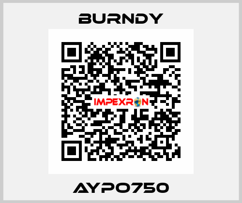 AYPO750 Burndy