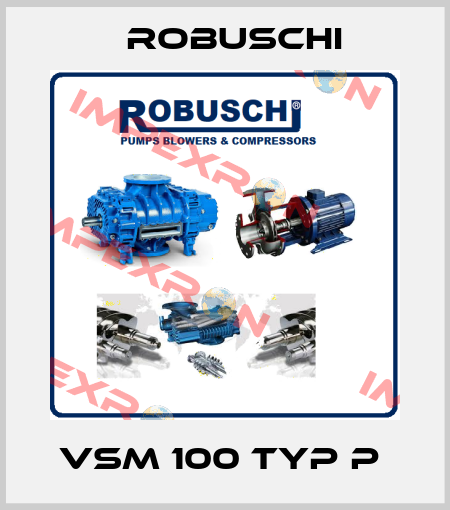 VSM 100 TYP P  Robuschi