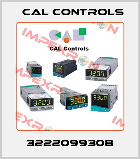 3222099308 Cal Controls