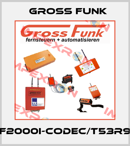 gf2000i-codec/t53r98 Gross Funk