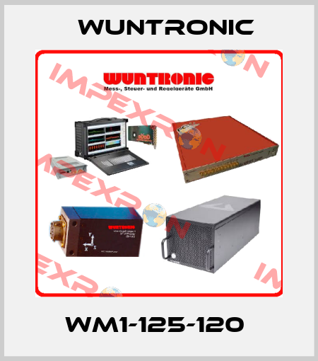 WM1-125-120  Wuntronic