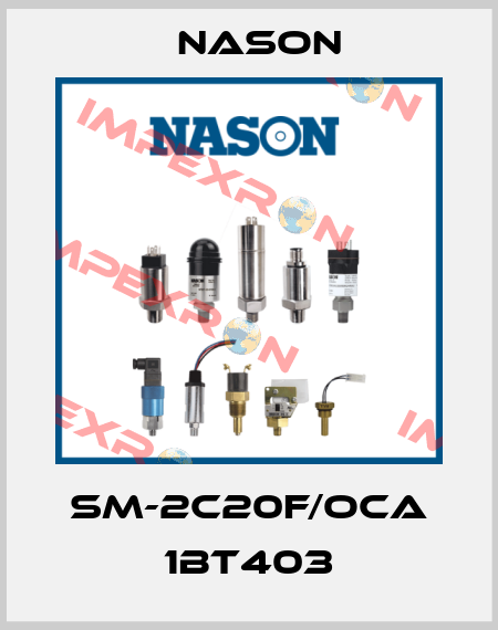 SM-2C20F/OCA 1BT403 Nason