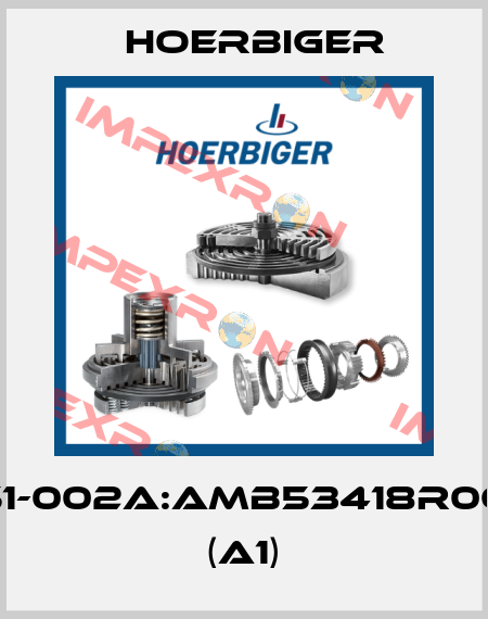HB53451-002A:AMB53418R06B030X (A1) Hoerbiger