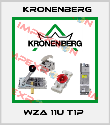 WZA 11U T1P  Kronenberg