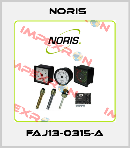 FAJ13-0315-A Noris