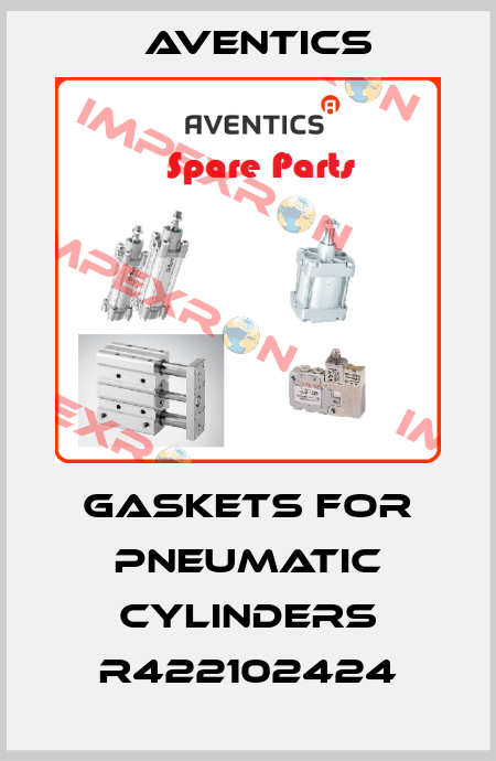 gaskets for pneumatic cylinders R422102424 Aventics