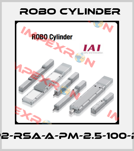 RCP2-RSA-A-PM-2.5-100-P1-M Robo cylinder