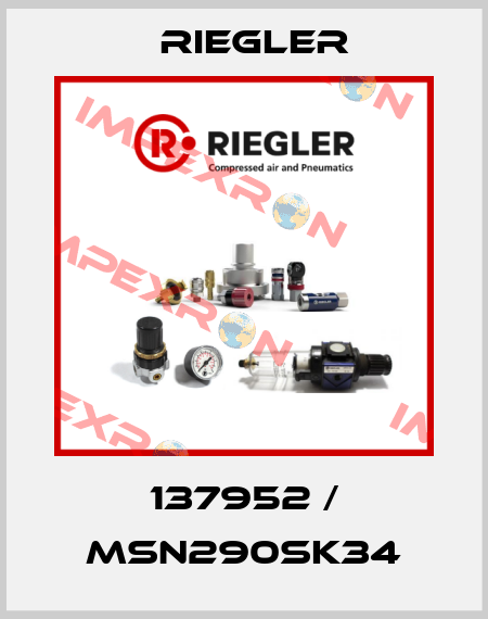 137952 / MSN290SK34 Riegler