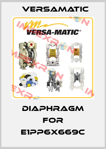 diaphragm for E1PP6X669C VersaMatic