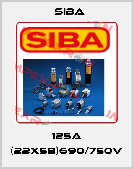 125A (22x58)690/750V Siba