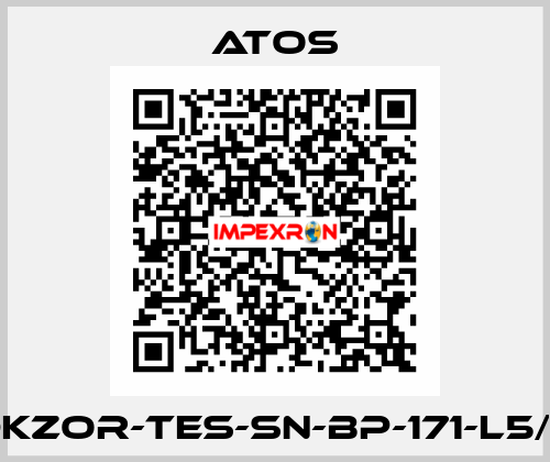 DKZOR-TES-SN-BP-171-L5/Z Atos