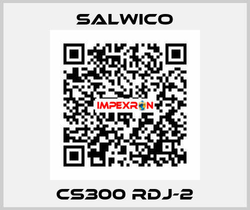 CS300 RDJ-2 Salwico