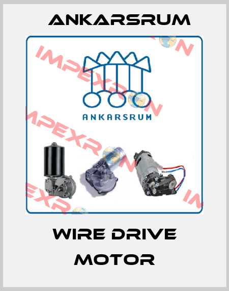 Wire Drive Motor Ankarsrum