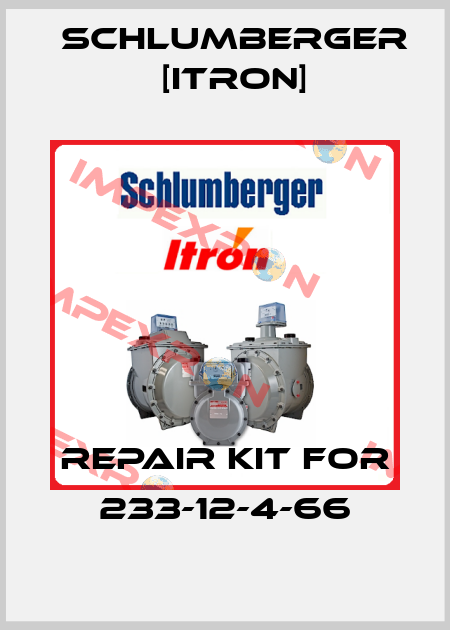 repair kit for 233-12-4-66 Schlumberger [Itron]
