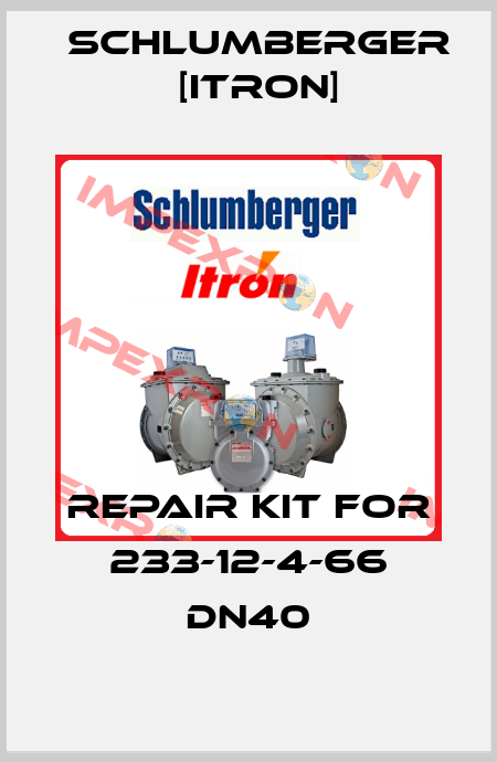 Repair kit for 233-12-4-66 DN40 Schlumberger [Itron]