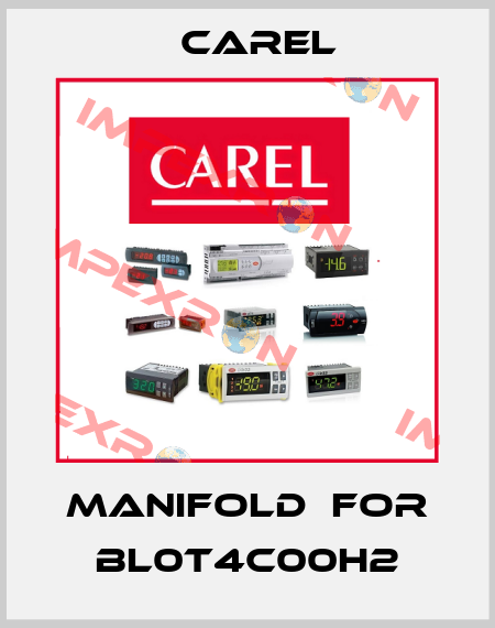 manifold  for BL0T4C00H2 Carel
