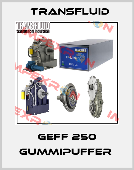 GEFF 250 Gummipuffer  Transfluid