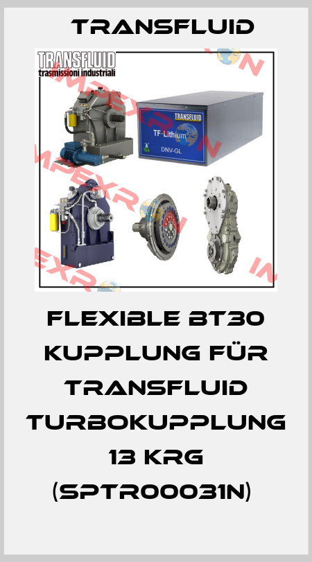 Flexible BT30 Kupplung für Transfluid Turbokupplung 13 KRG (SPTR00031N)  Transfluid