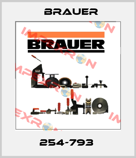254-793  Brauer