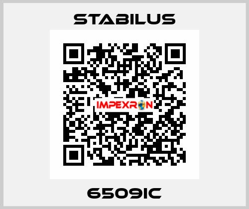 6509IC Stabilus