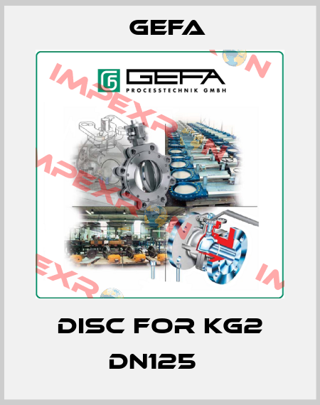 Disc for KG2 DN125   Gefa