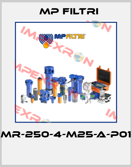 MR-250-4-M25-A-P01  MP Filtri