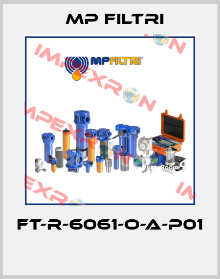 FT-R-6061-O-A-P01  MP Filtri