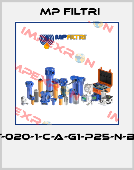 MPT-020-1-C-A-G1-P25-N-B-P01  MP Filtri