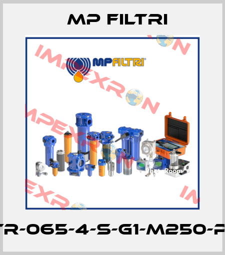 STR-065-4-S-G1-M250-P01 MP Filtri