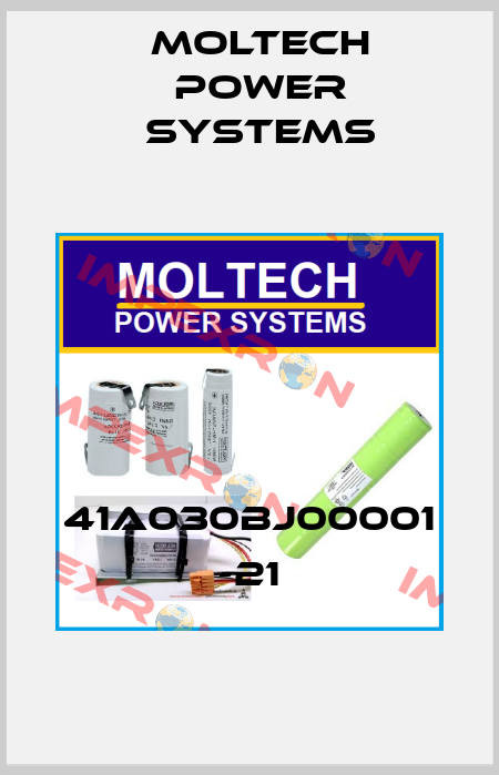 41A030BJ00001 -21 Moltech Power Systems
