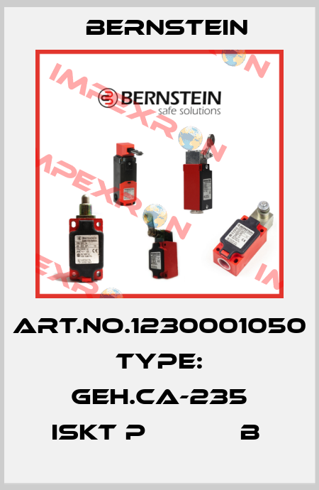 Art.No.1230001050 Type: GEH.CA-235 ISKT P            B  Bernstein