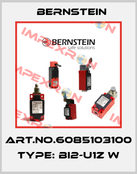 Art.No.6085103100 Type: BI2-U1Z W Bernstein