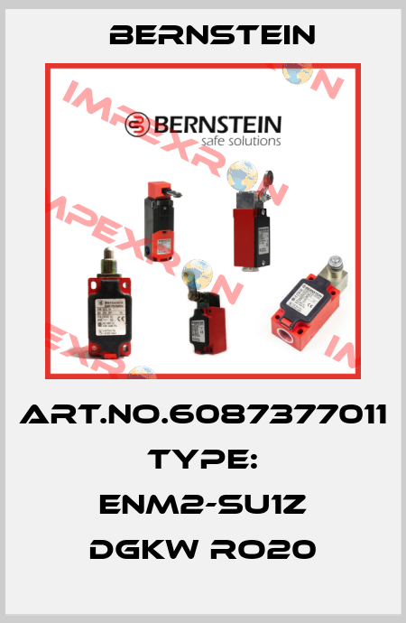 Art.No.6087377011 Type: ENM2-SU1Z DGKW RO20 Bernstein