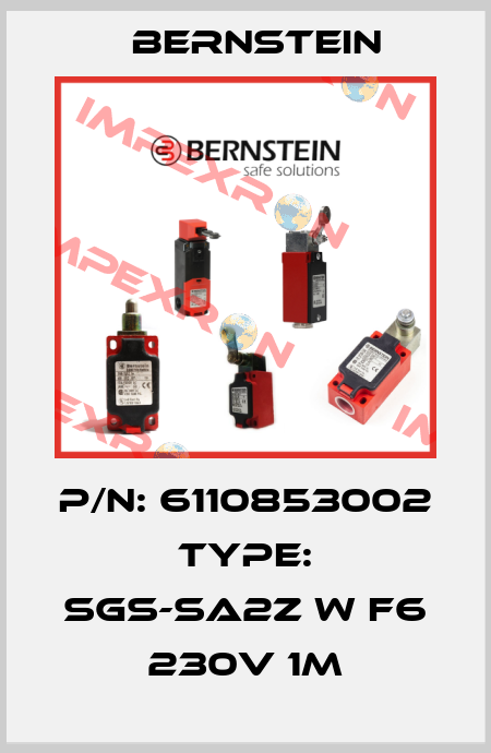 P/N: 6110853002 Type: SGS-SA2Z W F6 230V 1M Bernstein