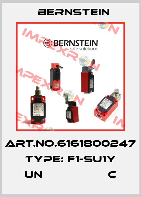 Art.No.6161800247 Type: F1-SU1Y UN                   C Bernstein