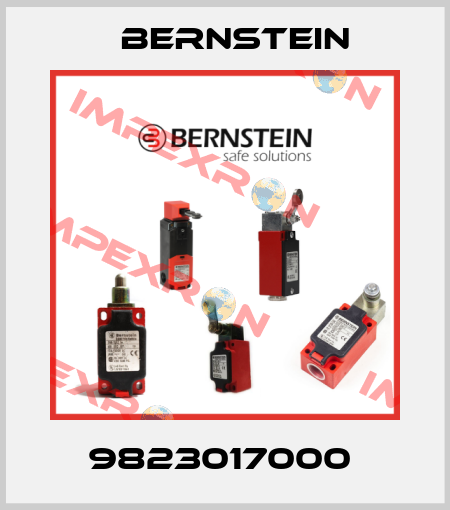 9823017000  Bernstein