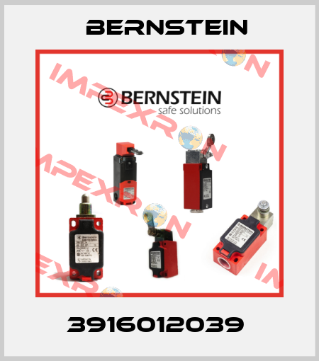 3916012039  Bernstein