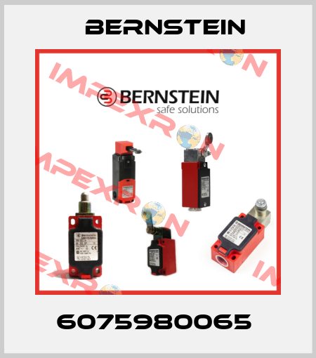 6075980065  Bernstein