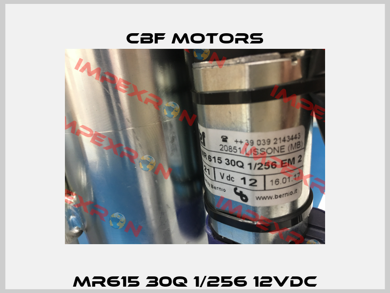 MR615 30Q 1/256 12VDC Cbf Motors
