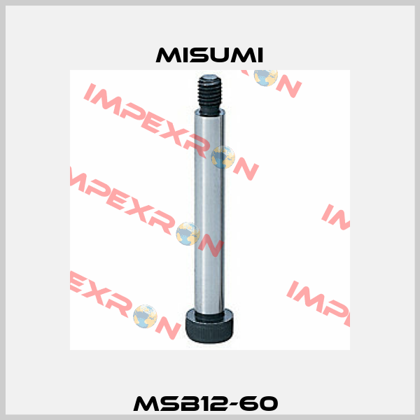 MSB12-60  Misumi