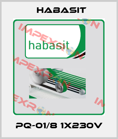 PQ-01/8 1X230V Habasit