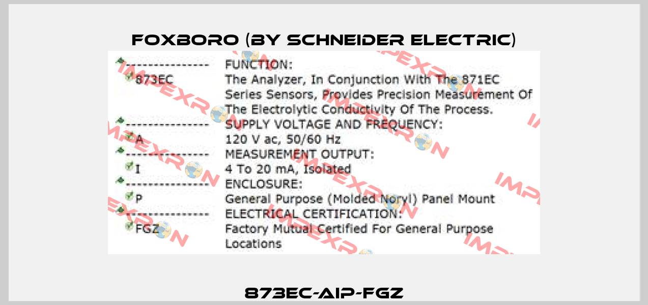 873EC-AIP-FGZ Foxboro (by Schneider Electric)
