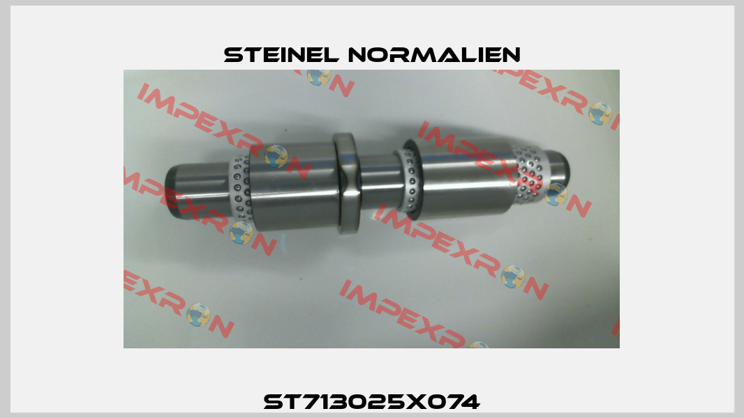 ST713025X074 Steinel Normalien