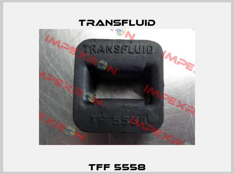 TFF 5558 Transfluid