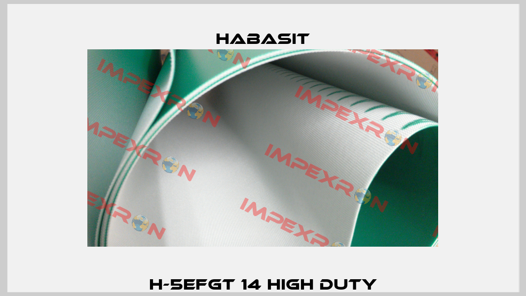 H-5EFGT 14 High Duty Habasit