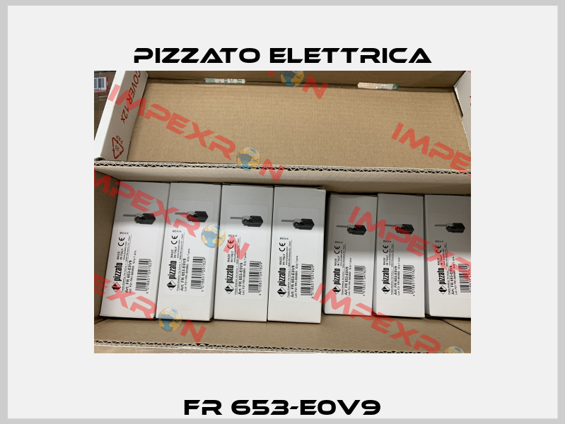 FR 653-E0V9 Pizzato Elettrica