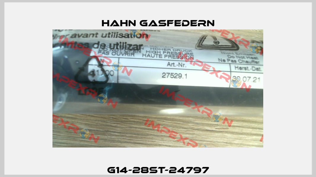G14-28ST-24797 Hahn Gasfedern