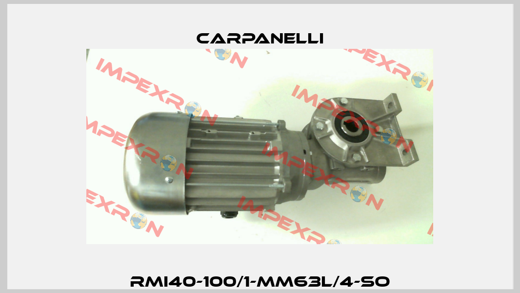 RMI40-100/1-MM63L/4-SO Carpanelli